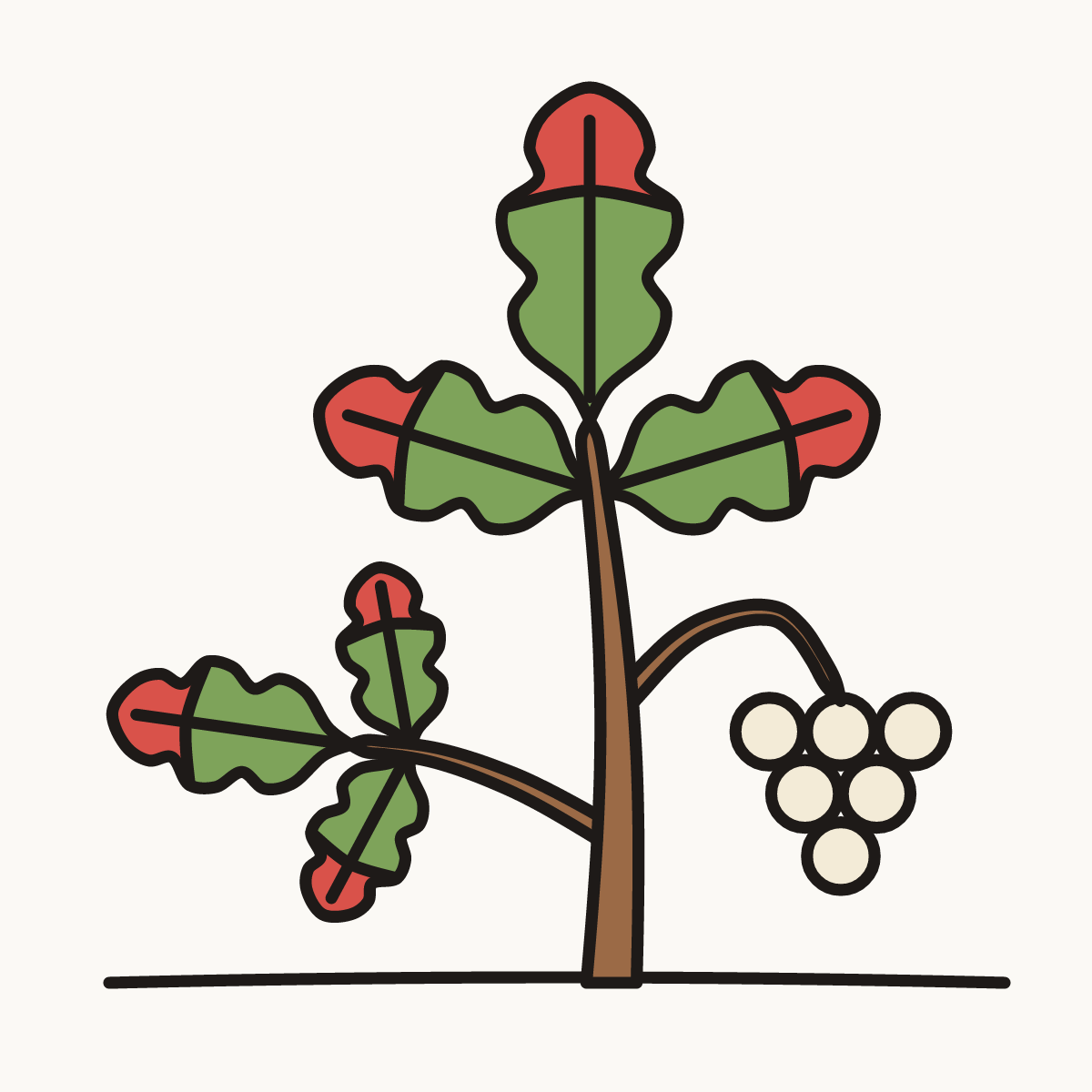 Finished drawing of a poison oak