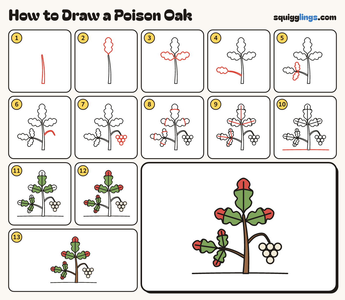 How to Draw a Poison Oak step by step: all 13 steps in one picture