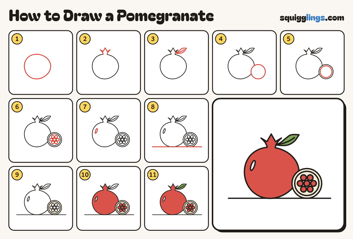 How to Draw a Pomegranate step by step: all 11 steps in one picture