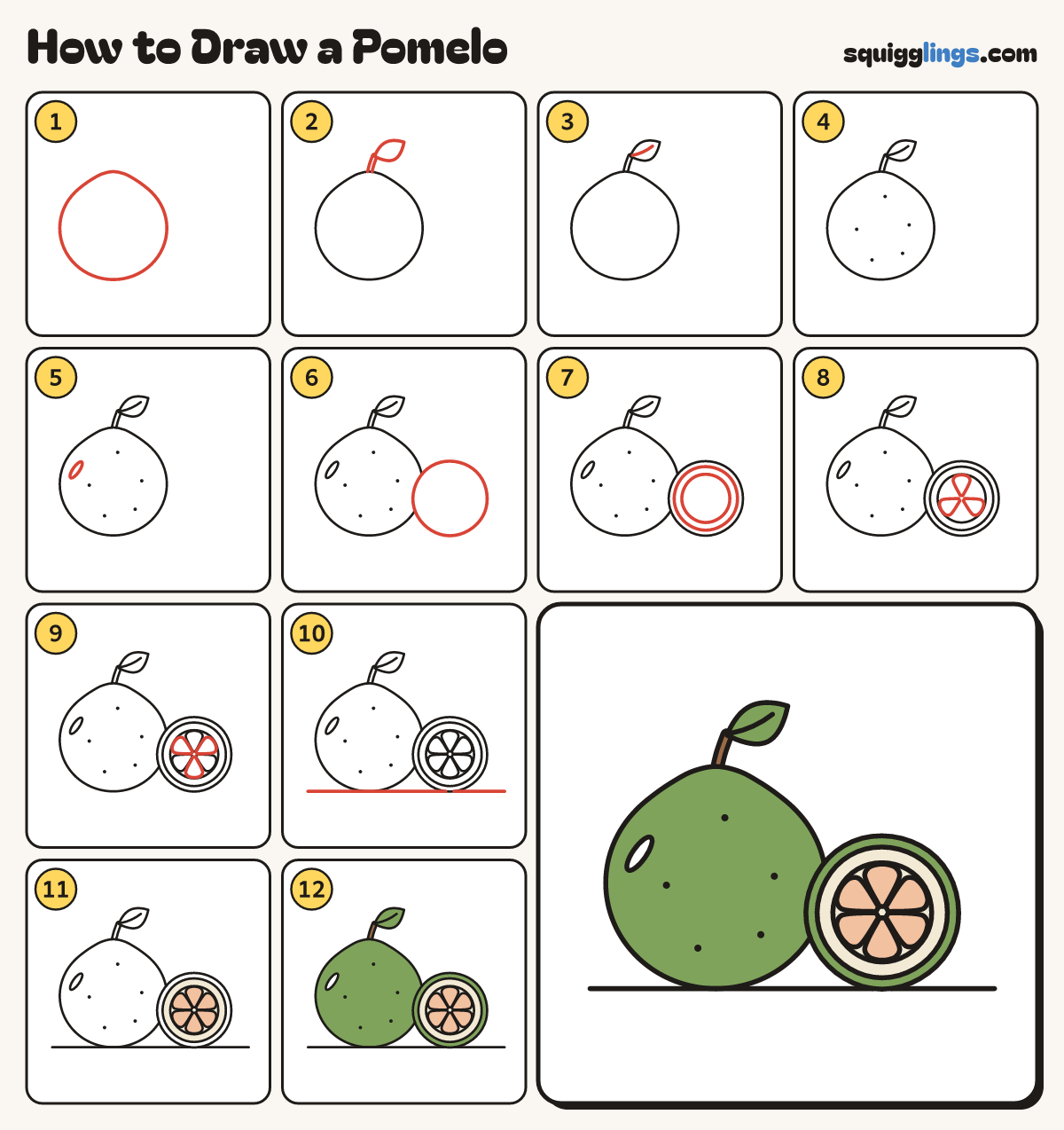 How to Draw a Pomelo step by step: all 12 steps in one picture
