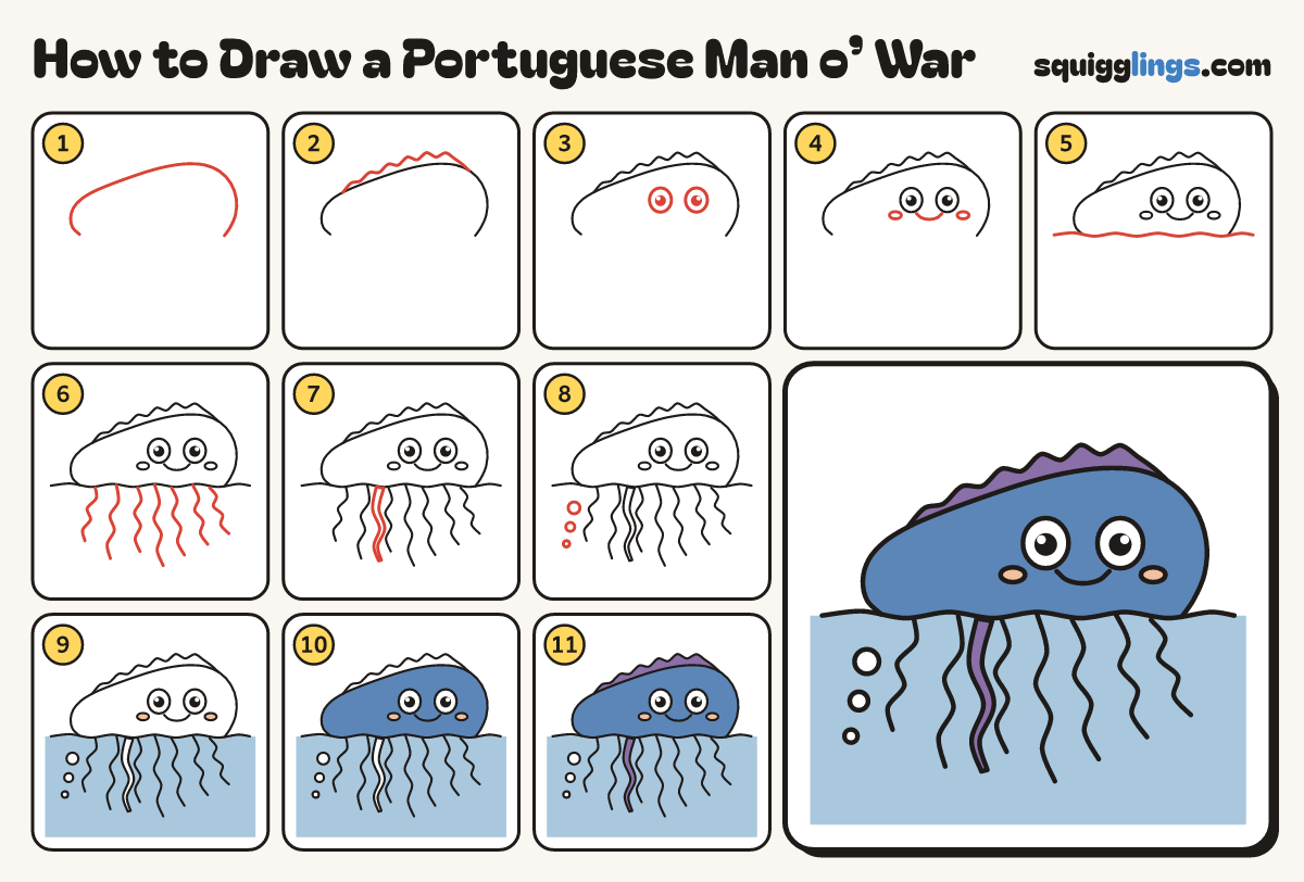 How to Draw a Portuguese Man o’ War step by step: all 11 steps in one picture