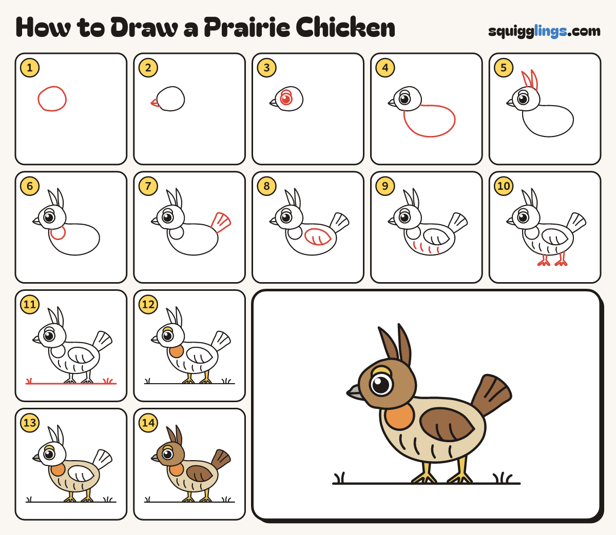 How to Draw a Prairie Chicken step by step: all 14 steps in one picture