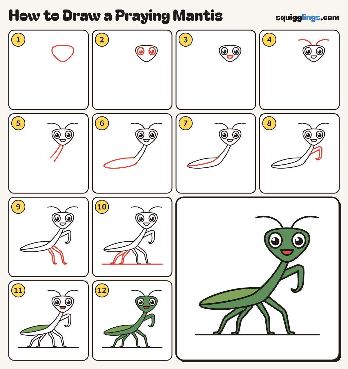 How to Draw a Praying Mantis step by step: all 12 steps in one picture