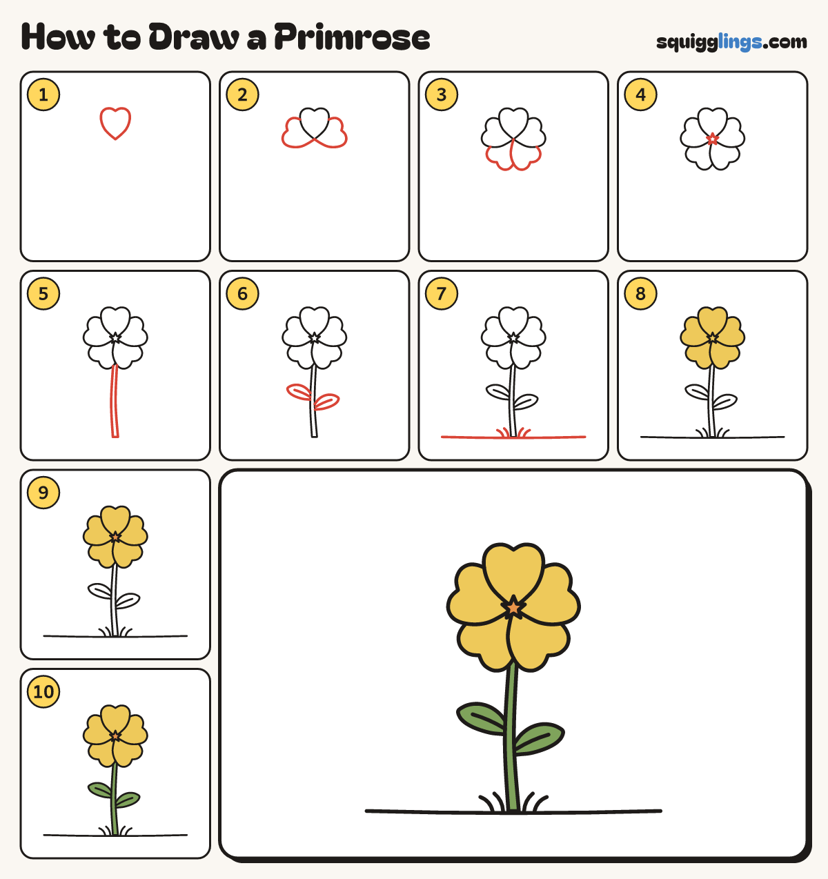 How to Draw a Primrose step by step: all 10 steps in one picture