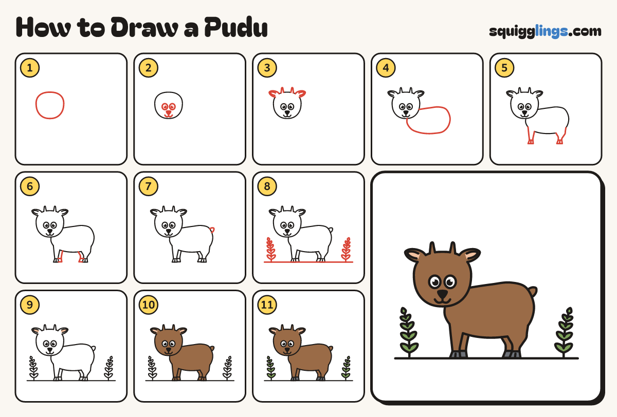 How to Draw a Pudu step by step: all 11 steps in one picture