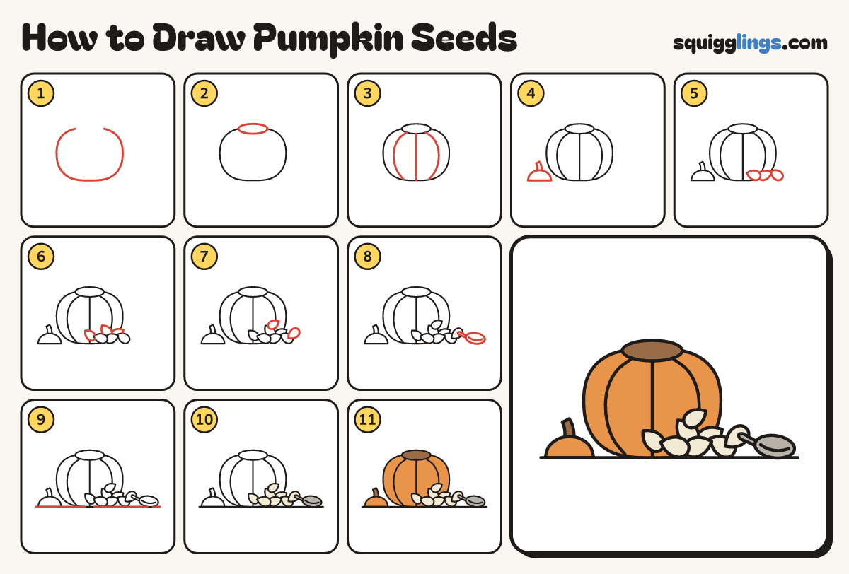 How to Draw Pumpkin Seeds step by step: all 11 steps in one picture