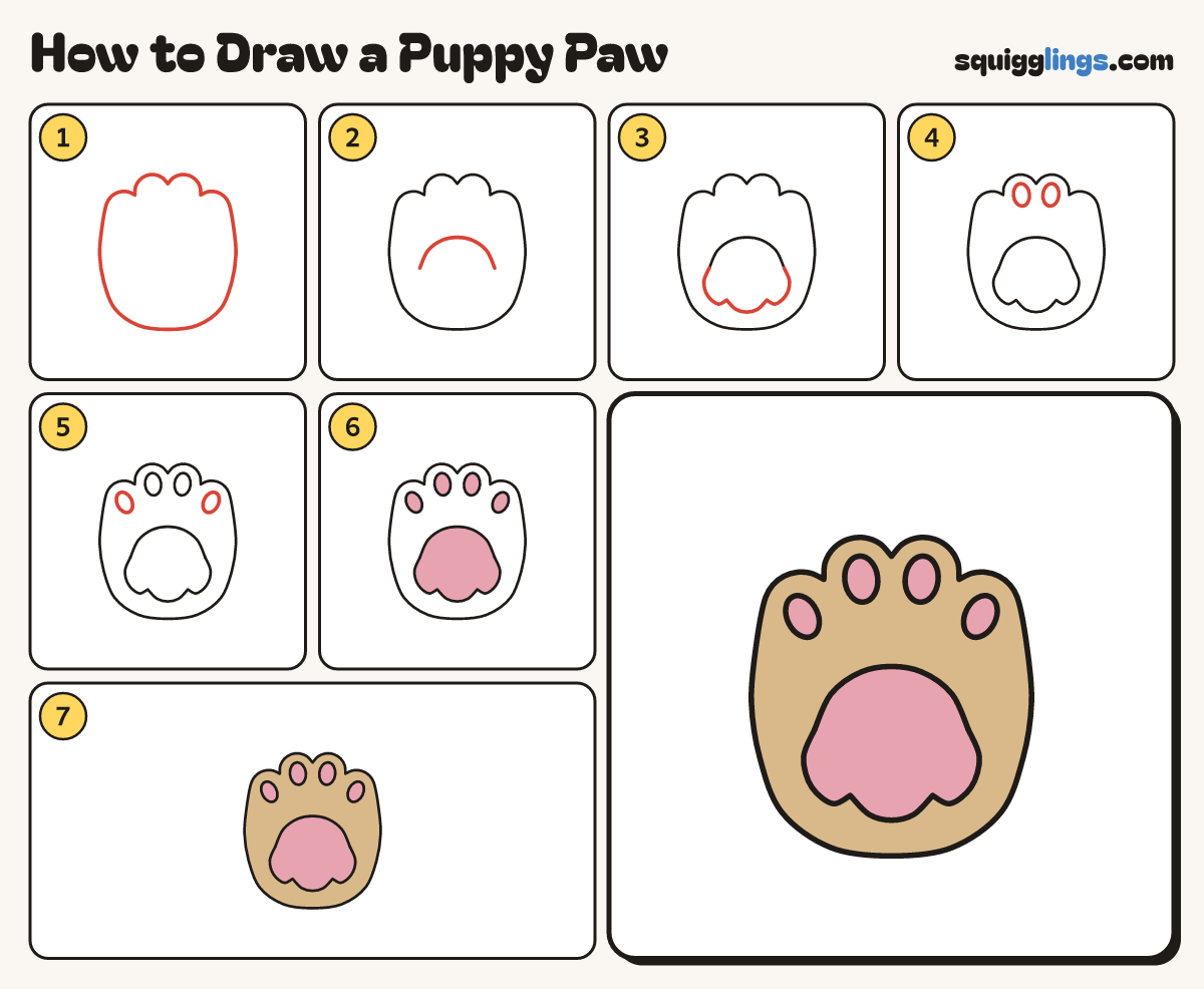 How to Draw a Puppy Paw step by step: all 7 steps in one picture