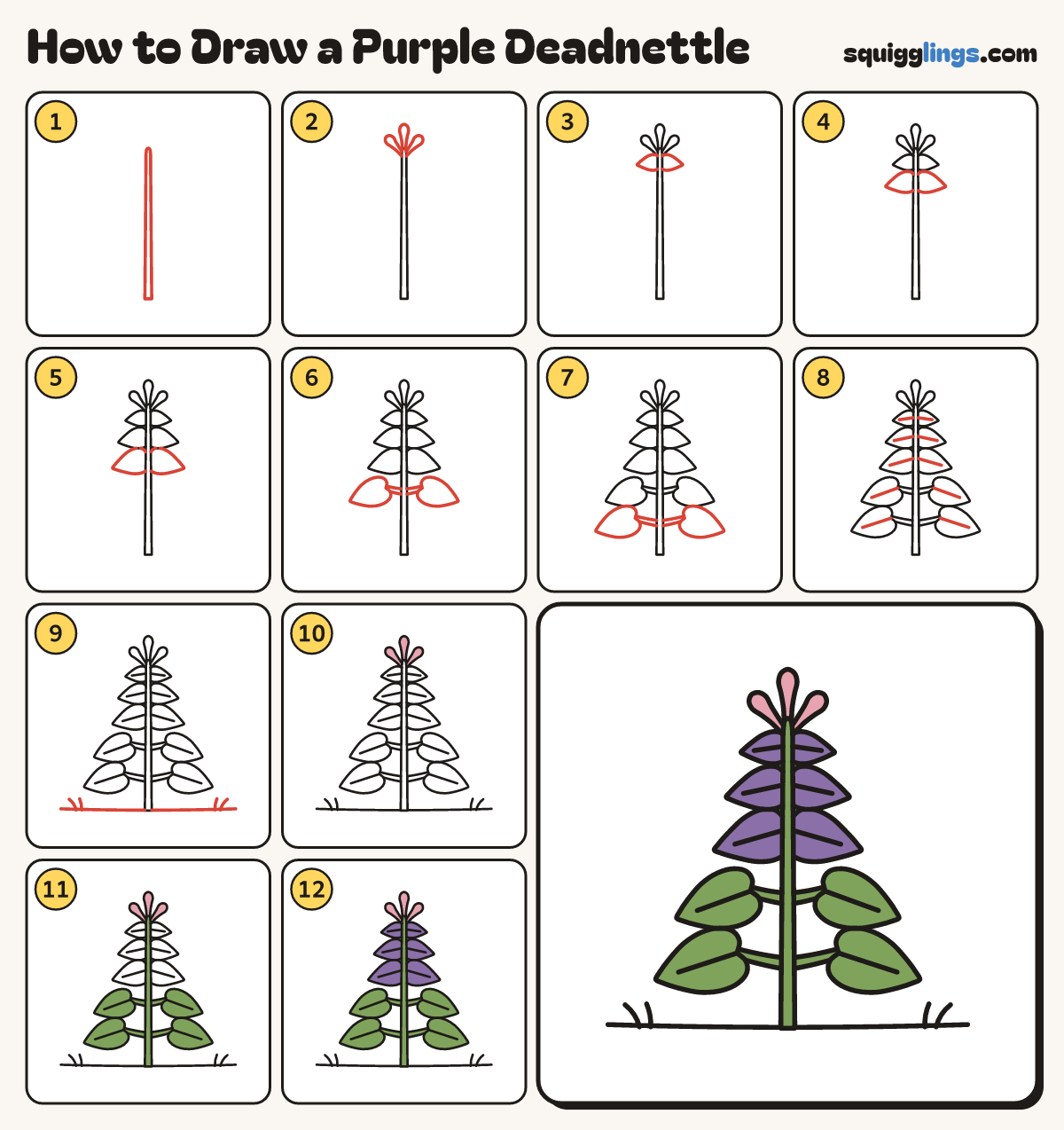 How to Draw a Purple Deadnettle step by step: all 12 steps in one picture