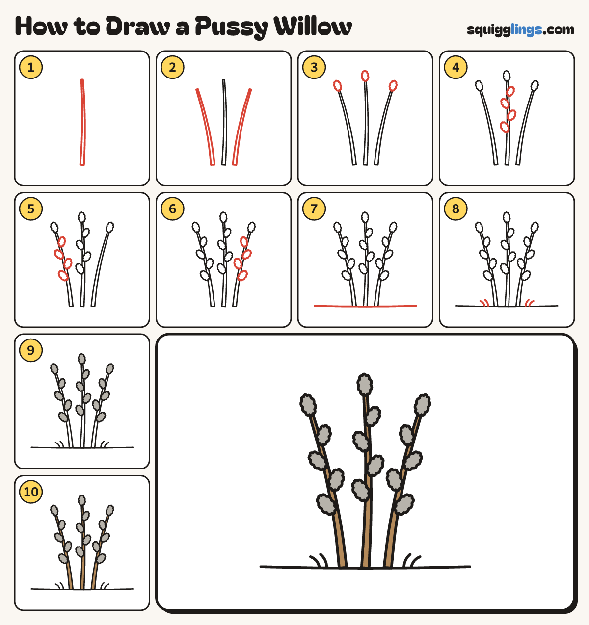 How to Draw a Pussy Willow step by step: all 10 steps in one picture