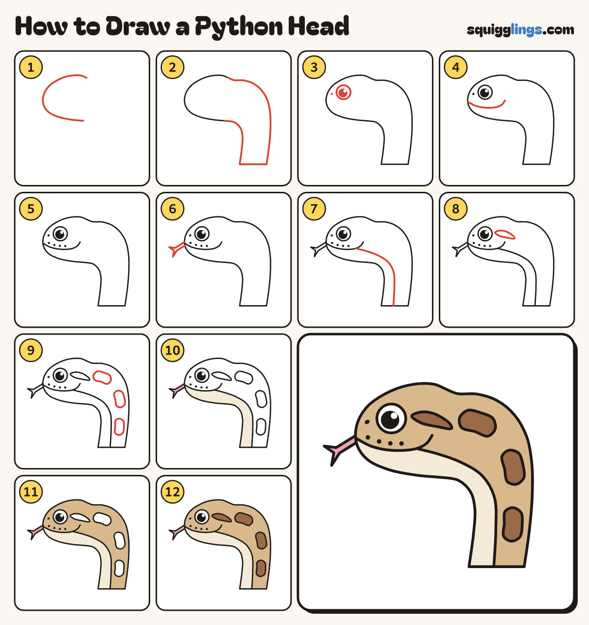 How to Draw a Python Head step by step: all 12 steps in one picture