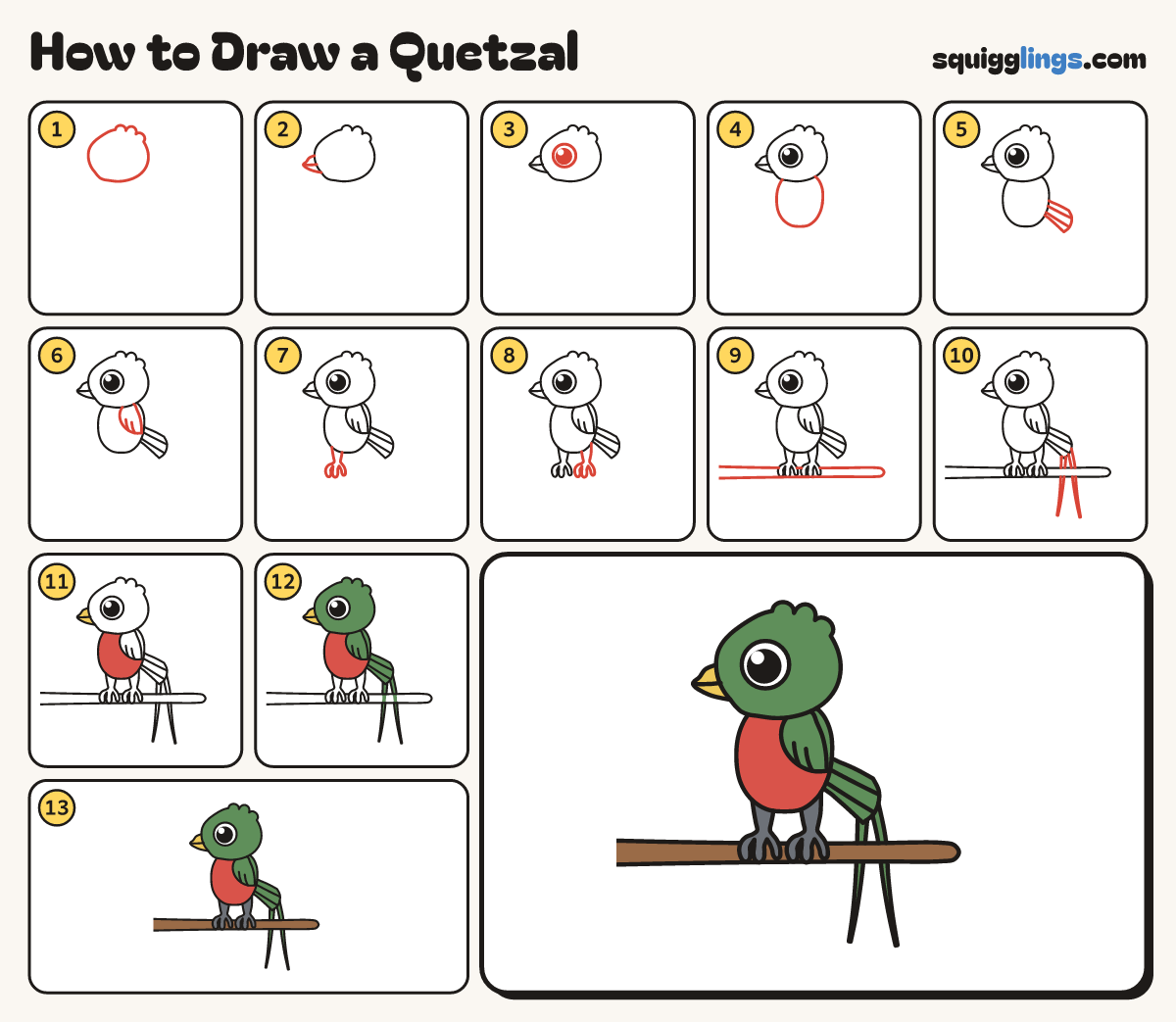 How to Draw a Quetzal step by step: all 13 steps in one picture