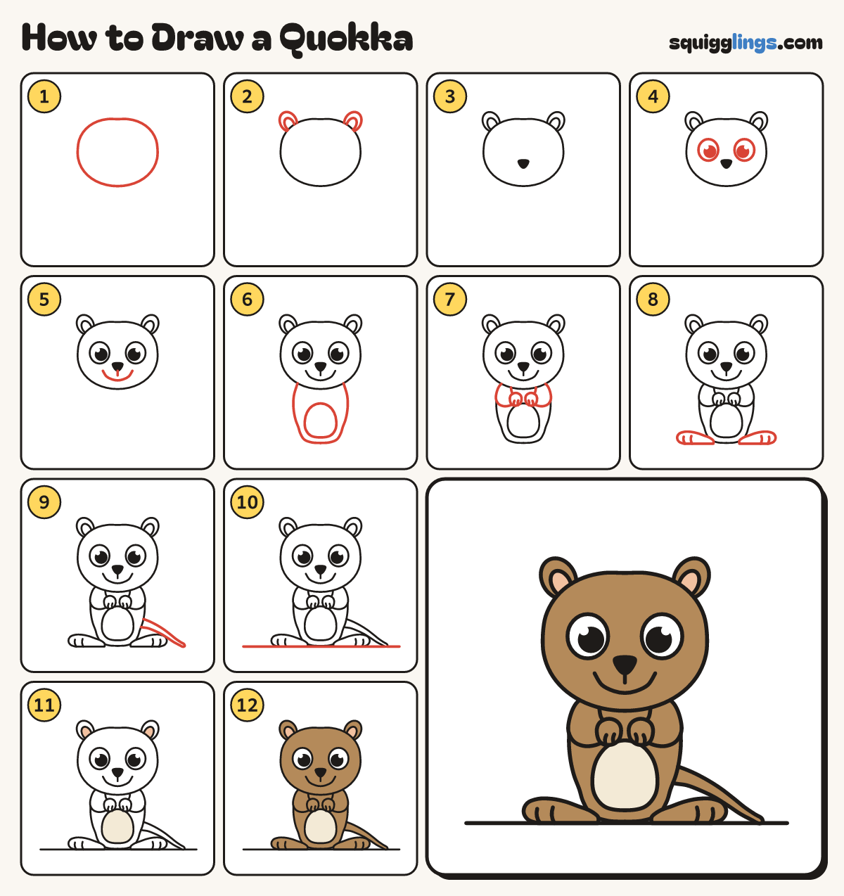 How to Draw a Quokka step by step: all 12 steps in one picture