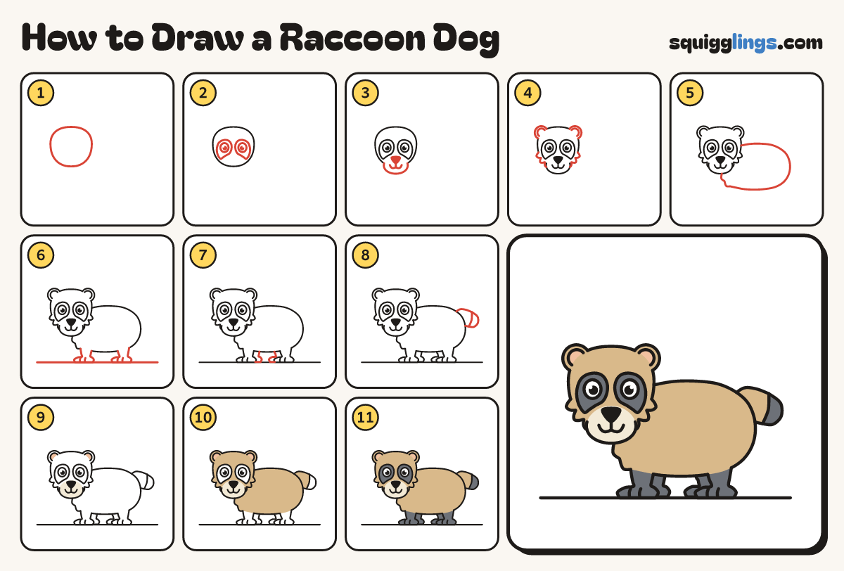 How to Draw a Raccoon Dog step by step: all 11 steps in one picture