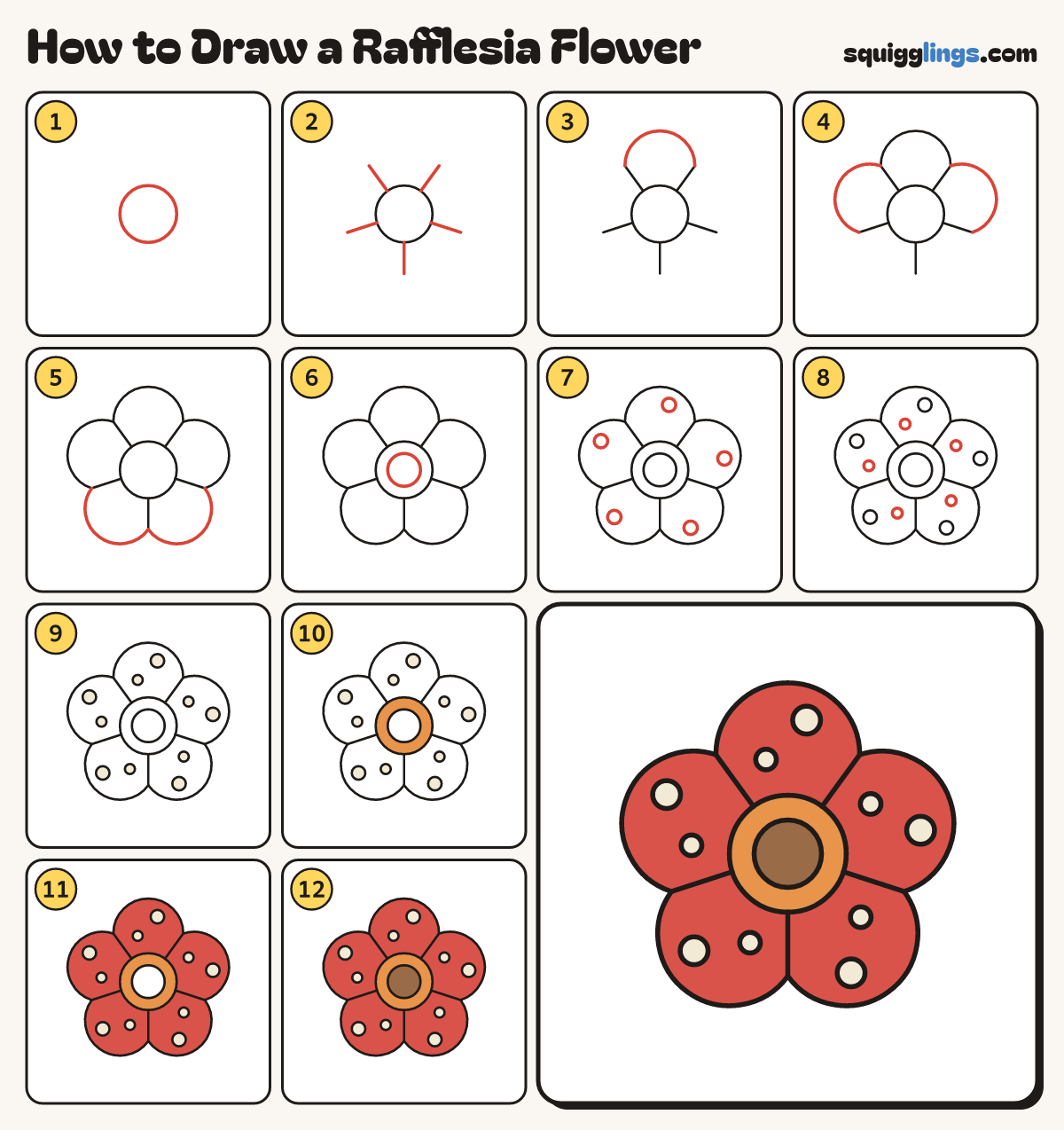 How to Draw a Rafflesia Flower step by step: all 12 steps in one picture