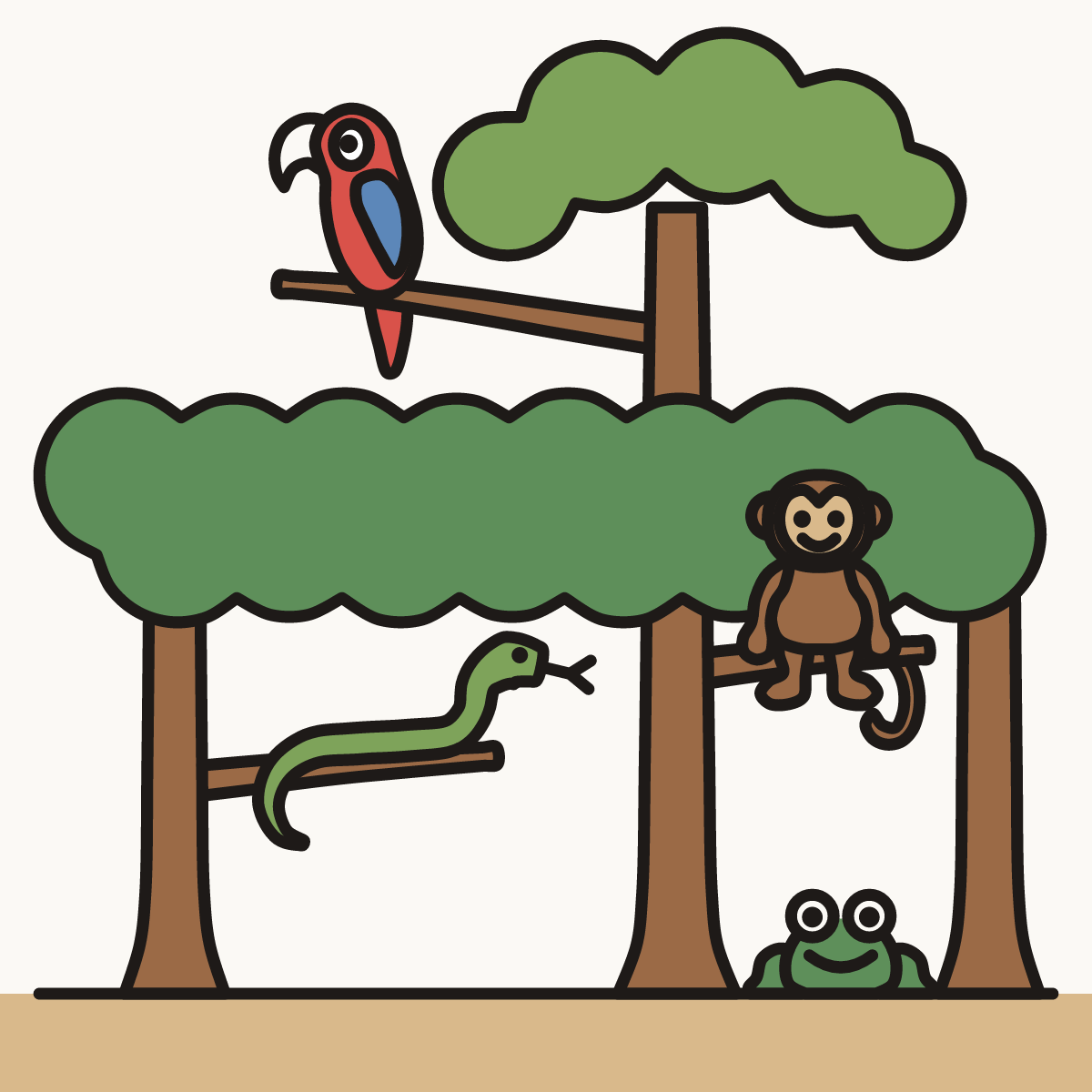 Finished drawing of rainforest layers