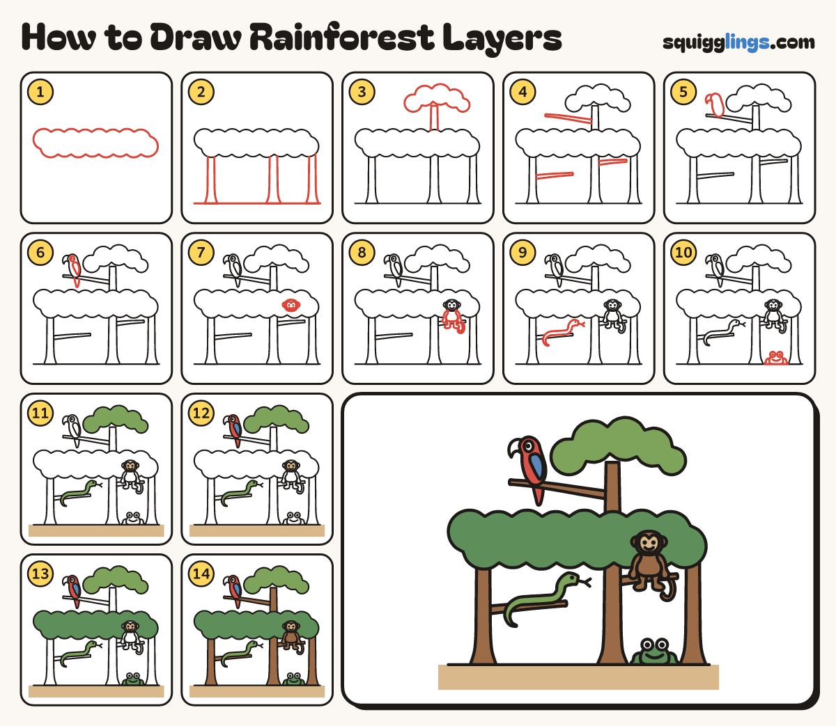 How to Draw Rainforest Layers step by step: all 14 steps in one picture