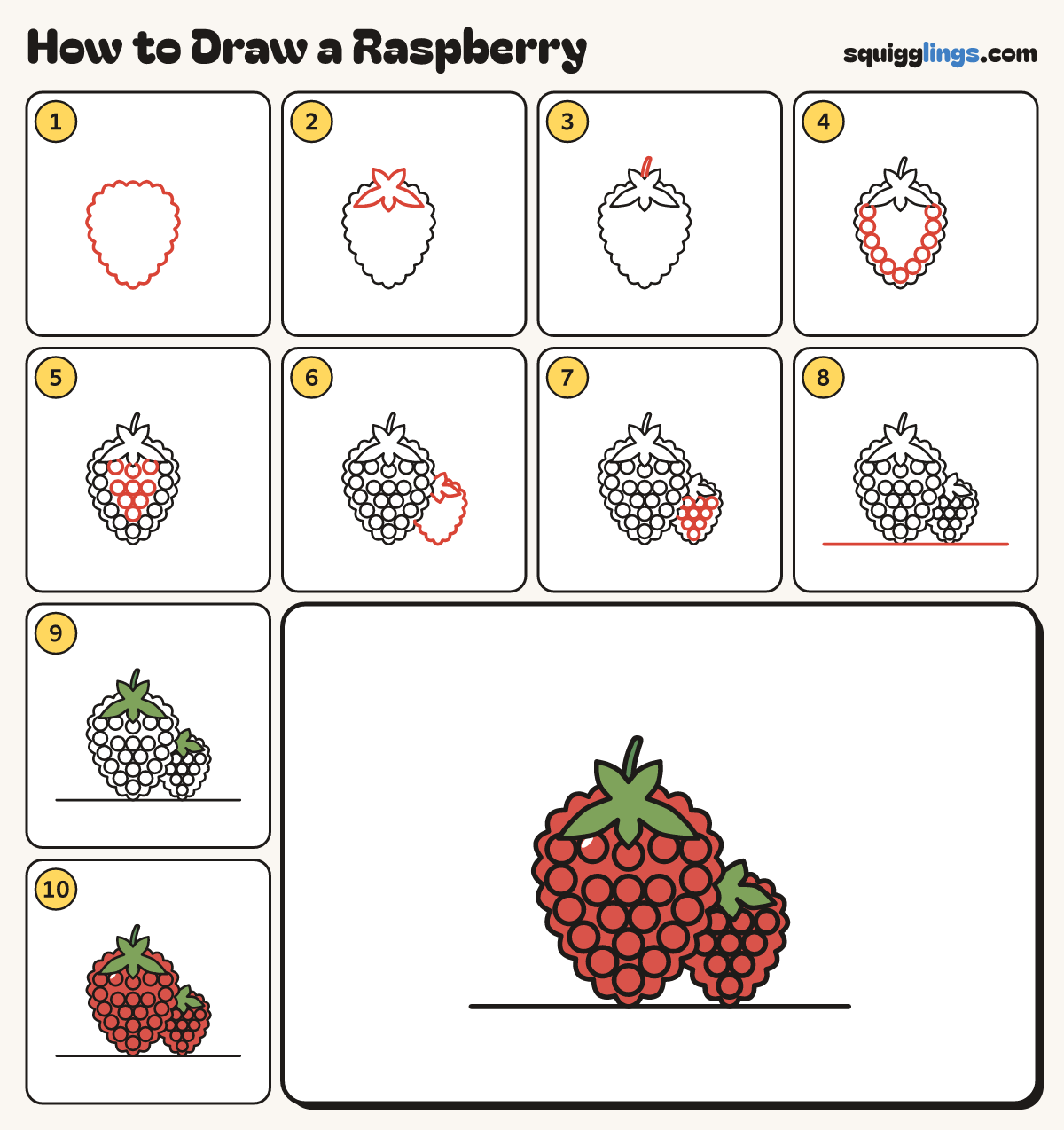 How to Draw a Raspberry step by step: all 10 steps in one picture