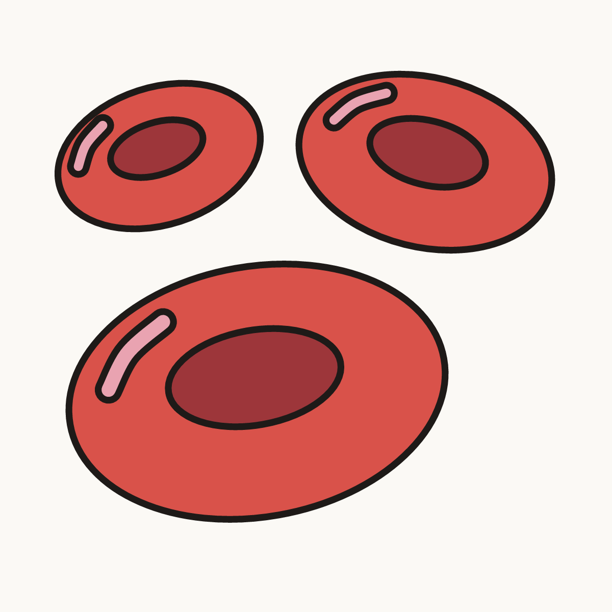 Finished drawing of a red blood cell