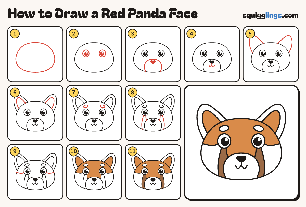 How to Draw a Red Panda Face step by step: all 11 steps in one picture