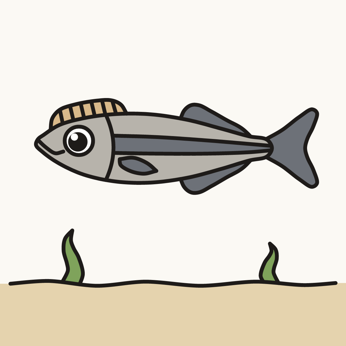 Finished drawing of a remora