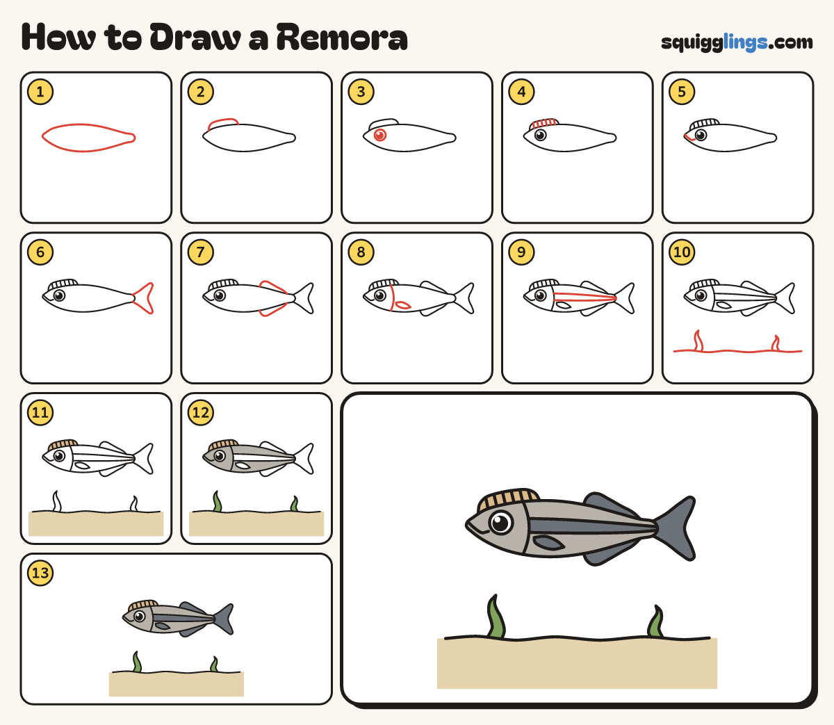 How to Draw a Remora step by step: all 13 steps in one picture