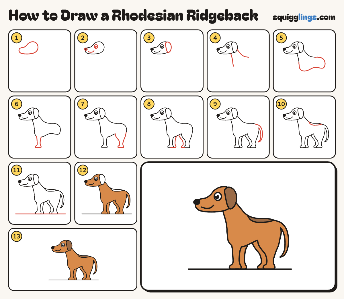 How to Draw a Rhodesian Ridgeback step by step: all 13 steps in one picture
