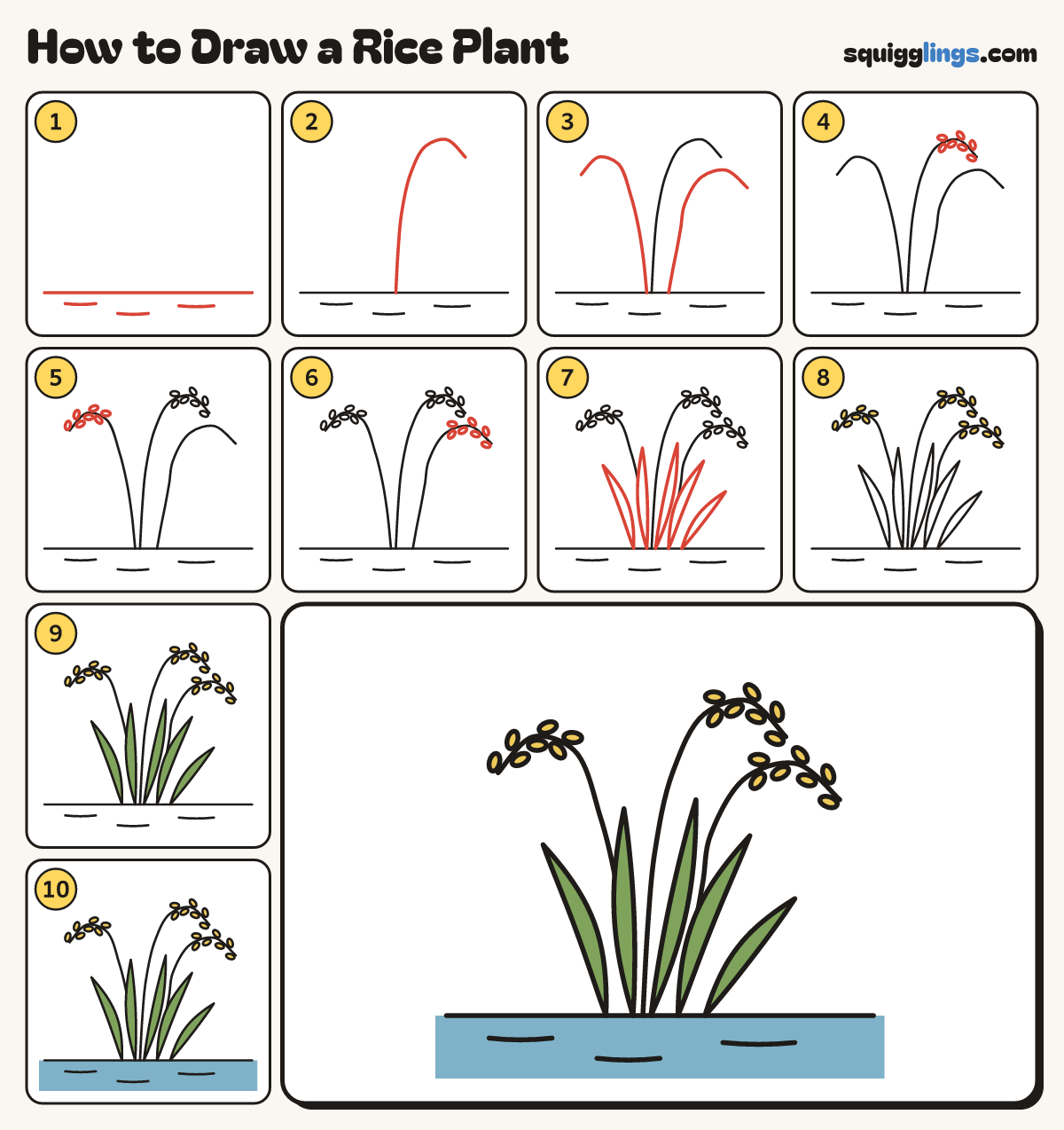 How to Draw a Rice Plant step by step: all 10 steps in one picture