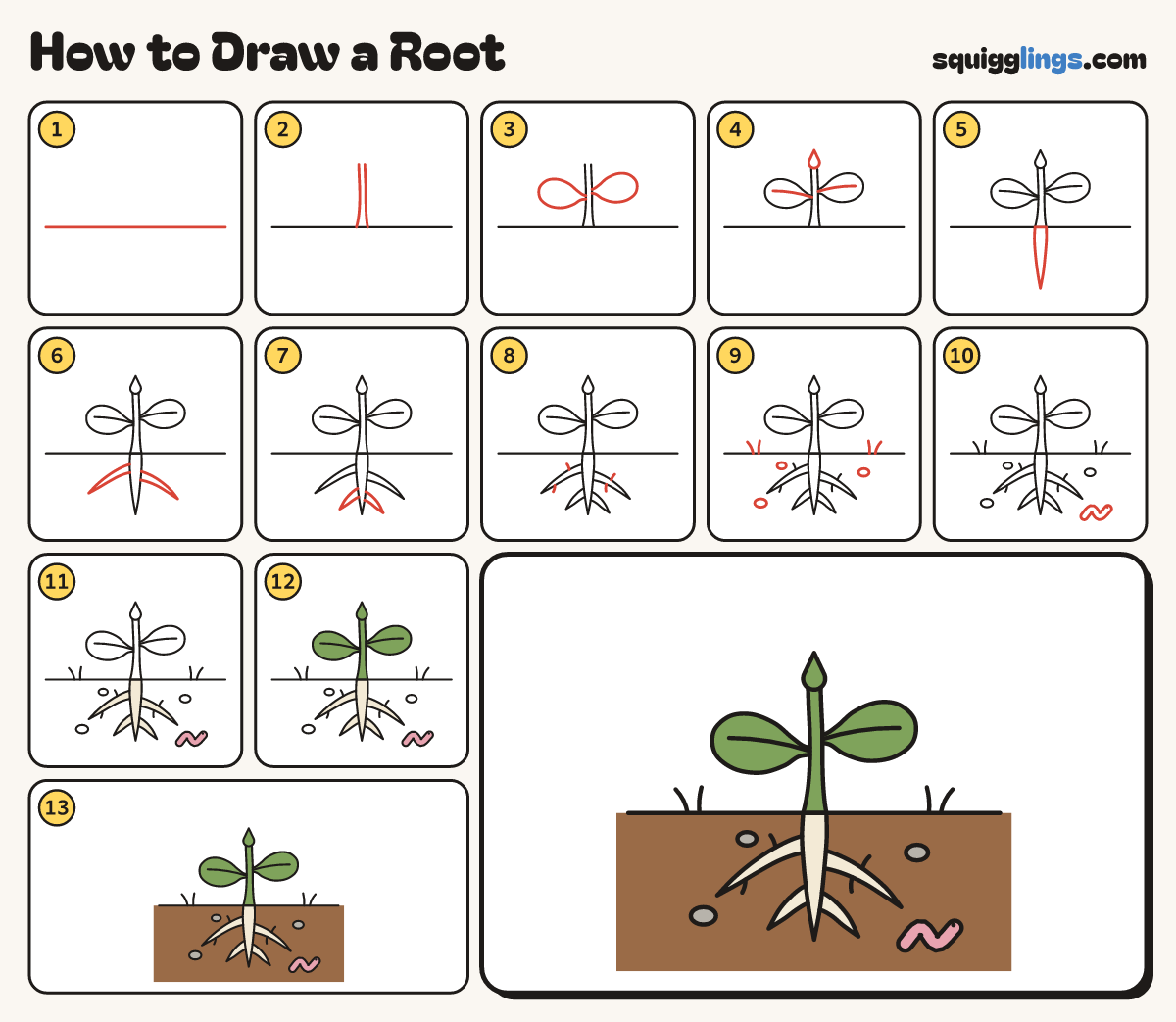 How to Draw a Root step by step: all 13 steps in one picture