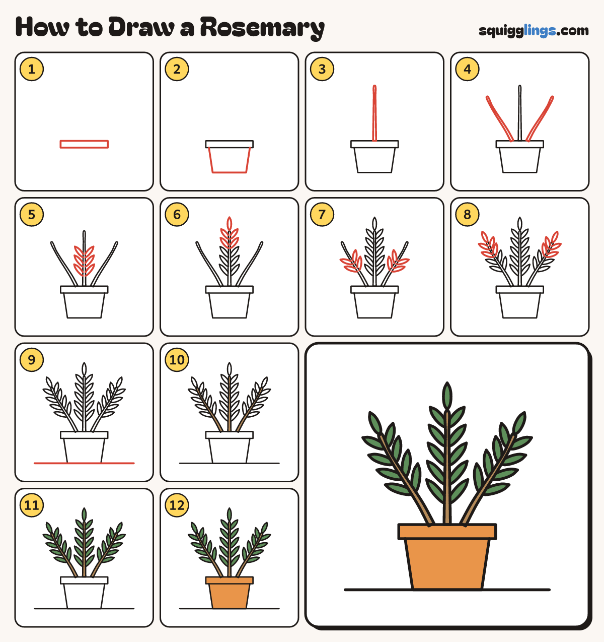 How to Draw a Rosemary step by step: all 12 steps in one picture