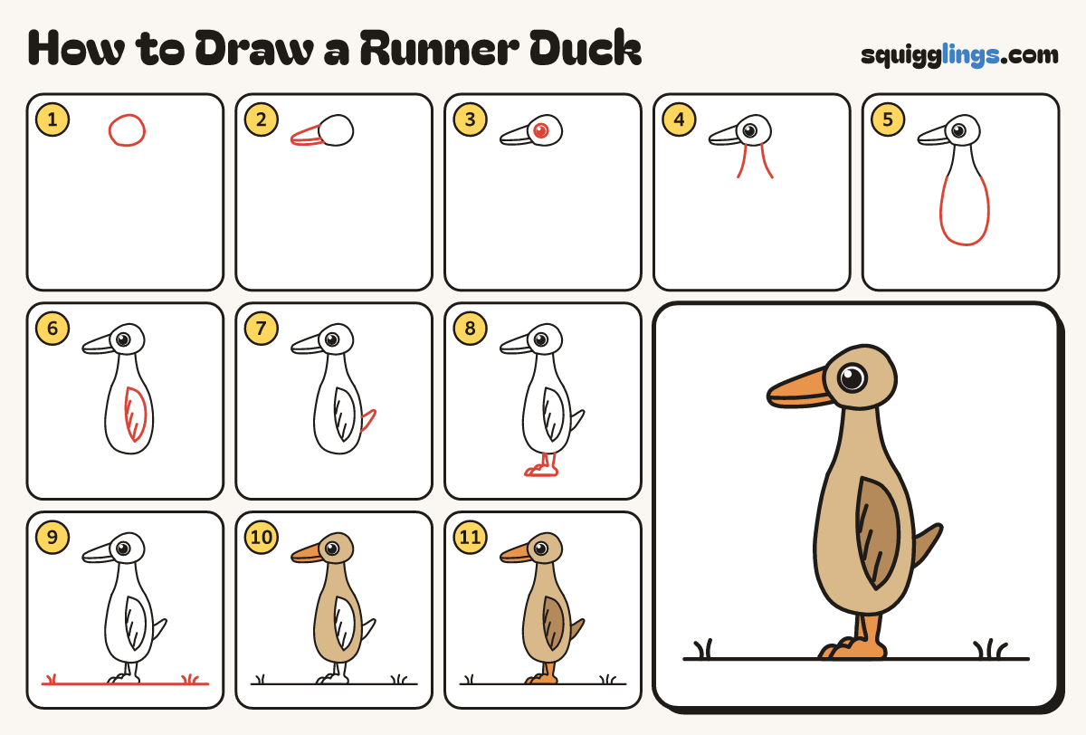 How to Draw a Runner Duck step by step: all 11 steps in one picture