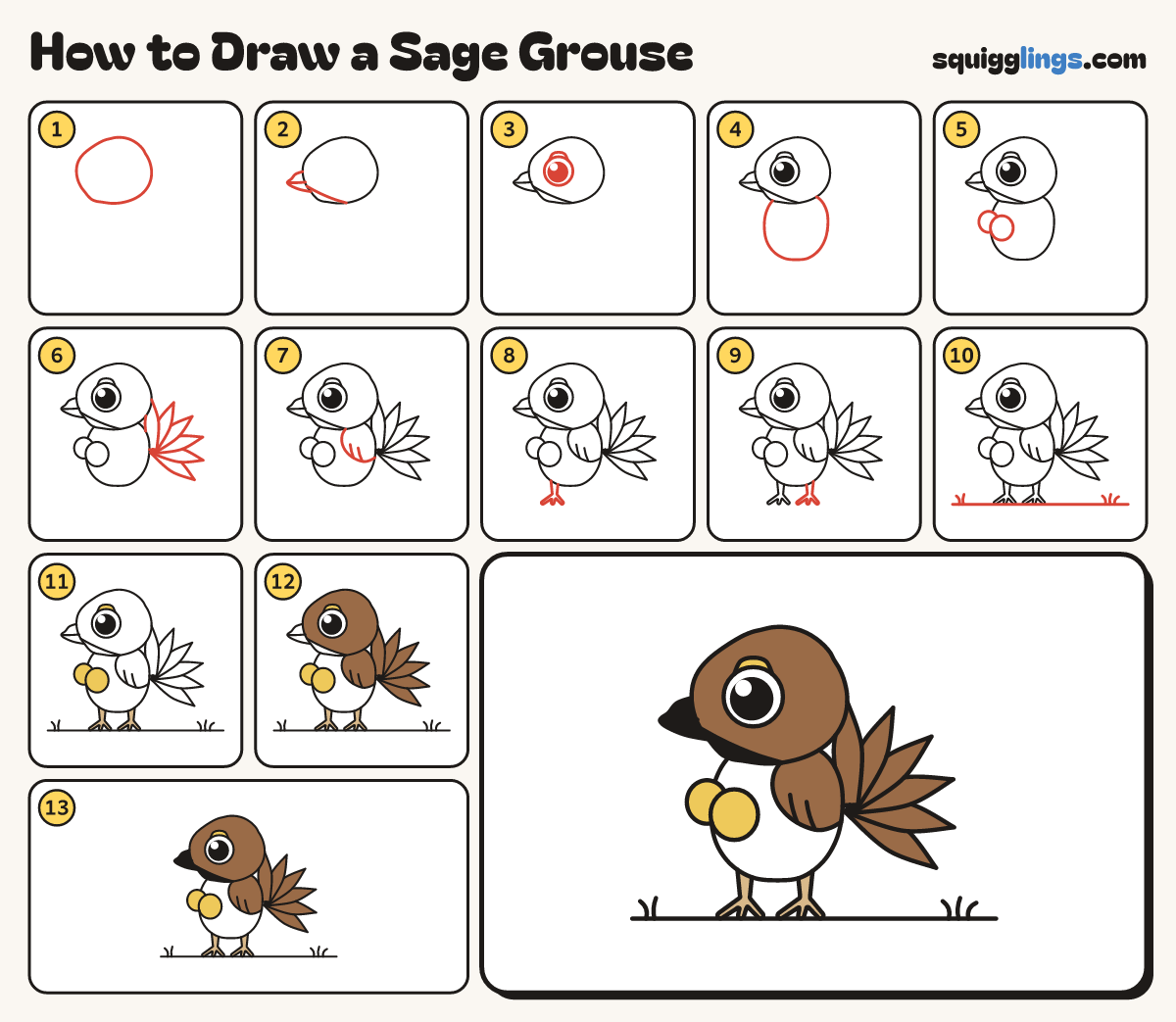 How to Draw a Sage Grouse step by step: all 13 steps in one picture