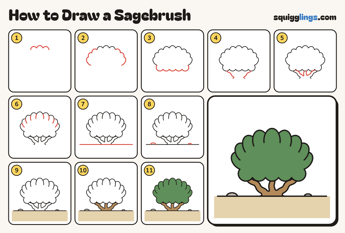 How to Draw a Sagebrush step by step: all 11 steps in one picture