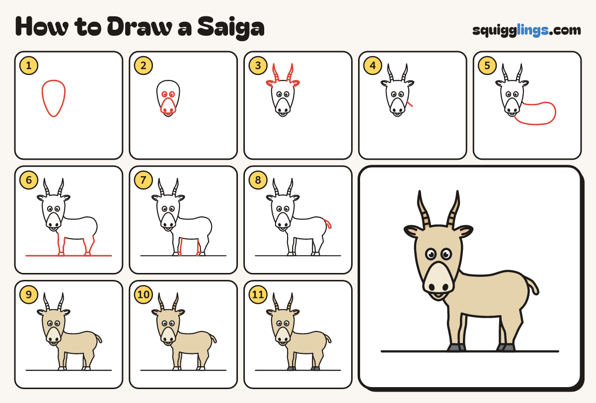 How to Draw a Saiga step by step: all 11 steps in one picture