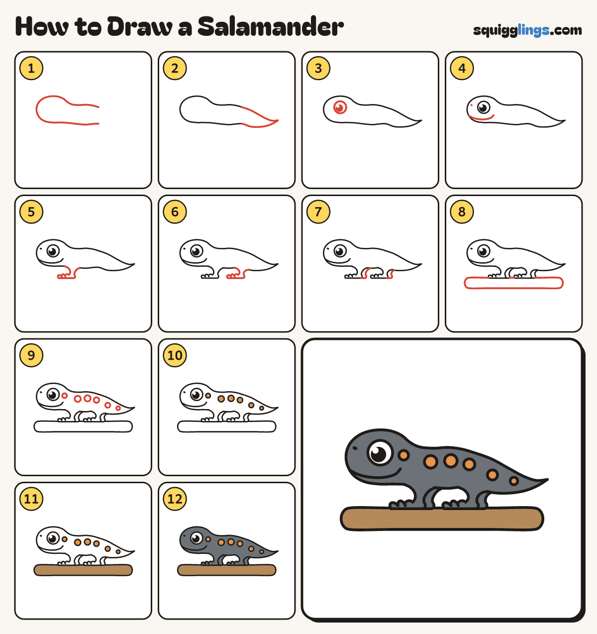 How to Draw a Salamander step by step: all 12 steps in one picture