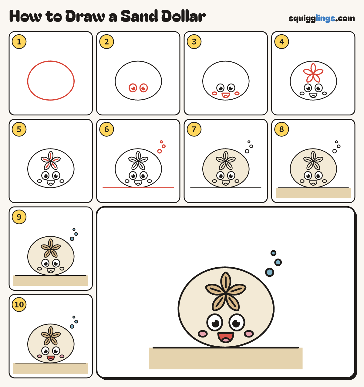 How to Draw a Sand Dollar step by step: all 10 steps in one picture
