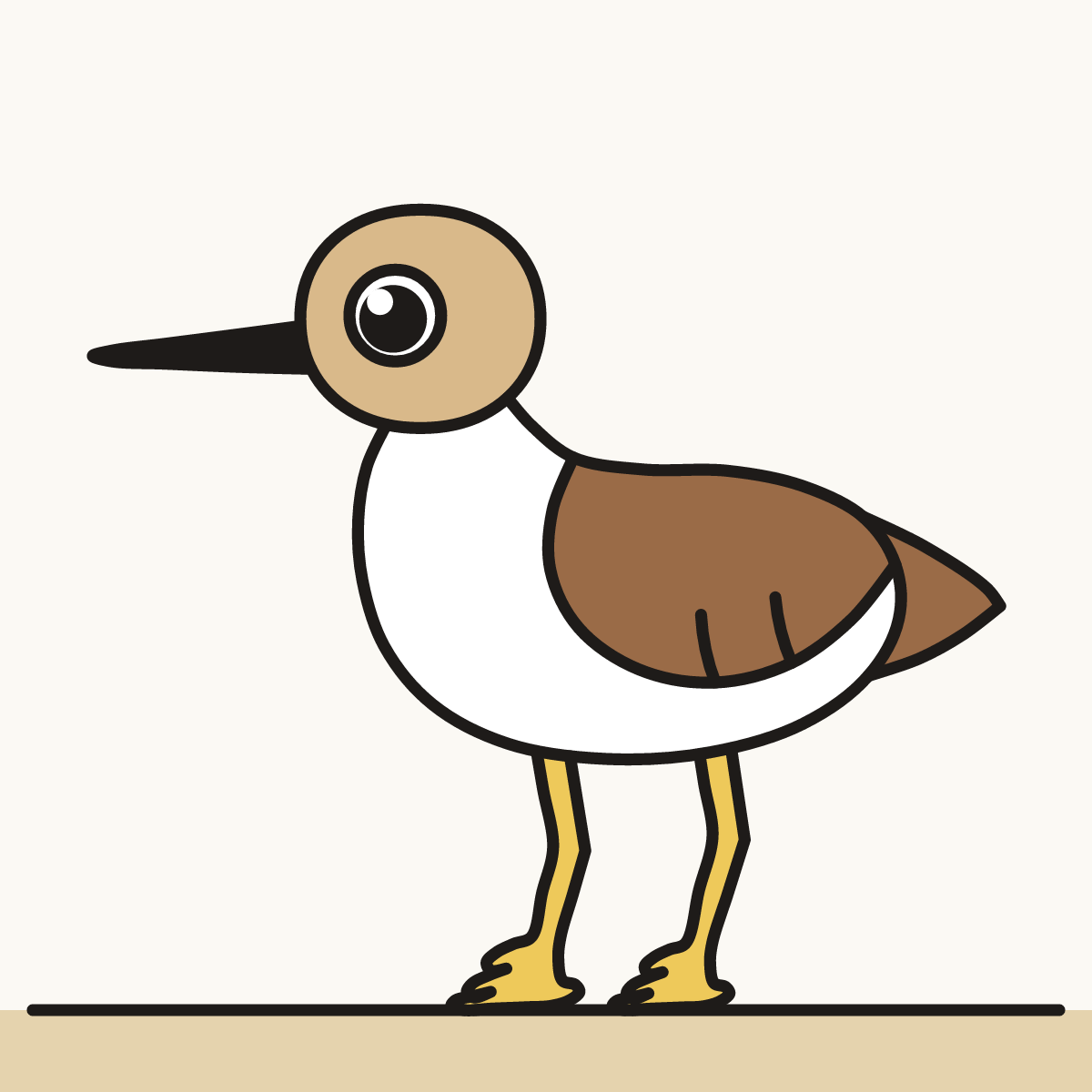 Finished drawing of a sandpiper