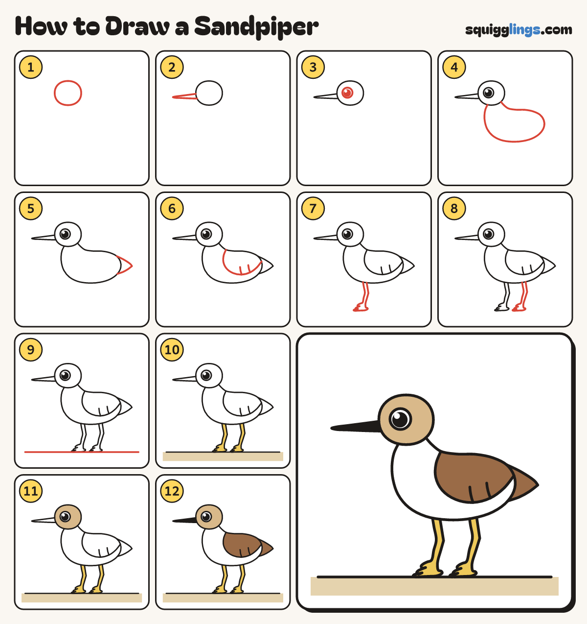 How to Draw a Sandpiper step by step: all 12 steps in one picture