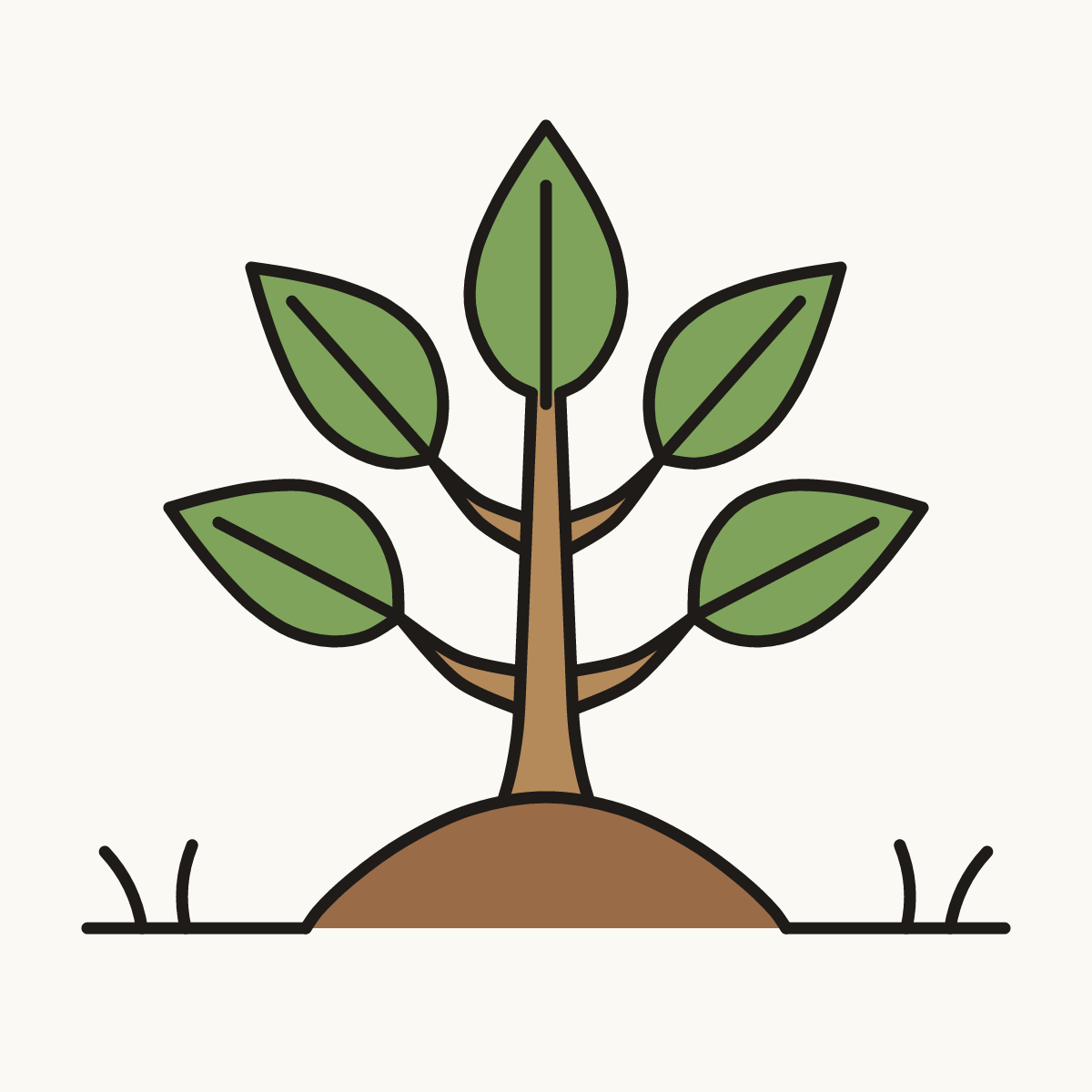 Finished drawing of a sapling