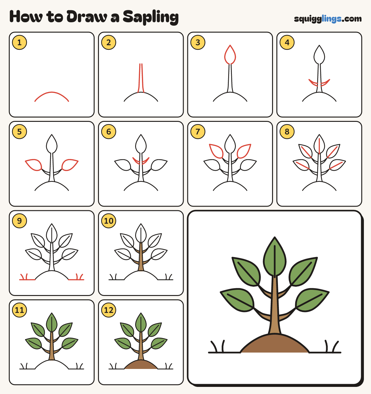 How to Draw a Sapling step by step: all 12 steps in one picture