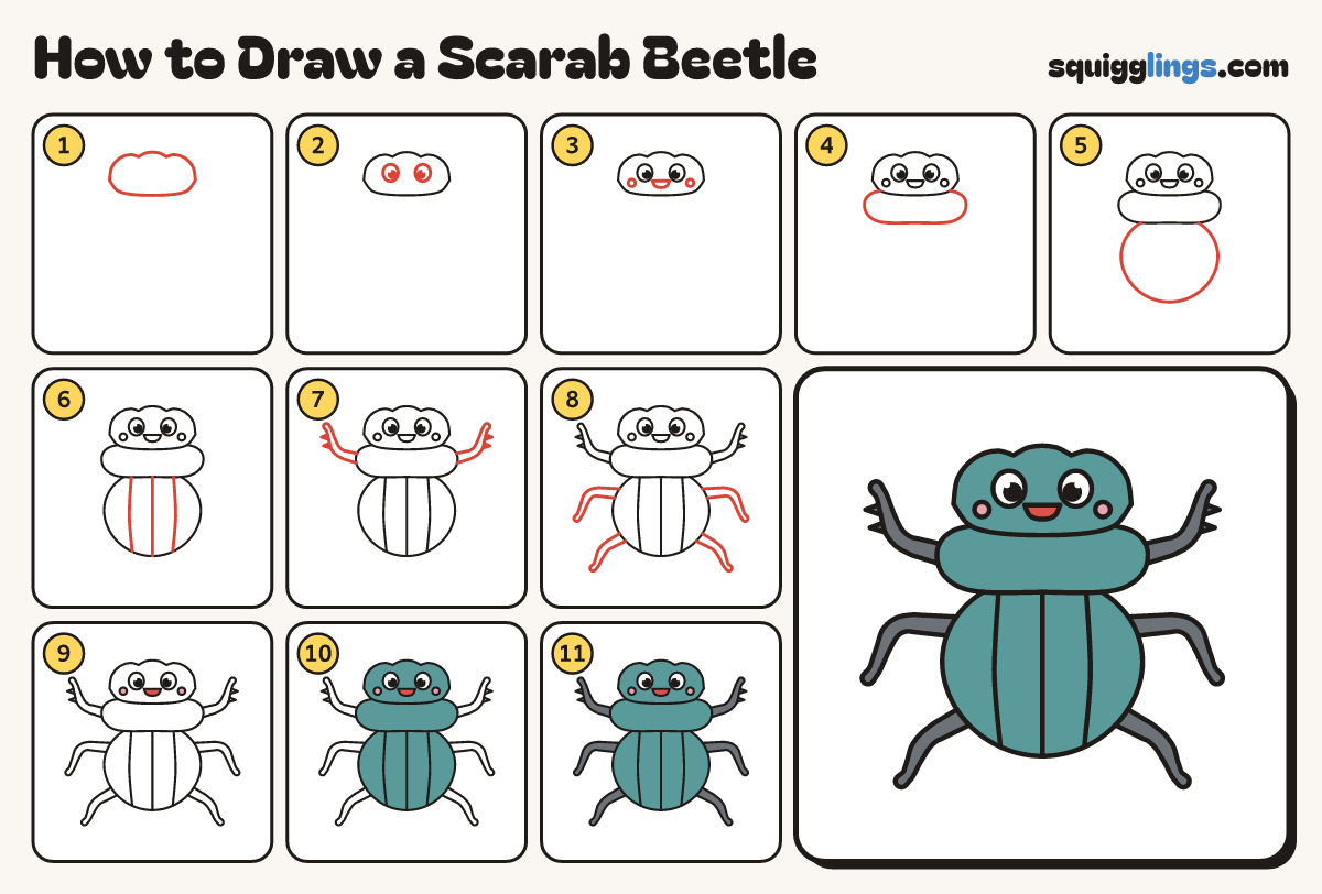 How to Draw a Scarab Beetle step by step: all 11 steps in one picture