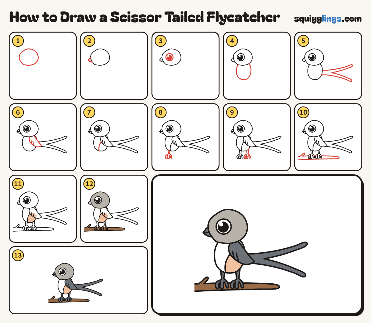 How to Draw a Scissor Tailed Flycatcher step by step: all 13 steps in one picture