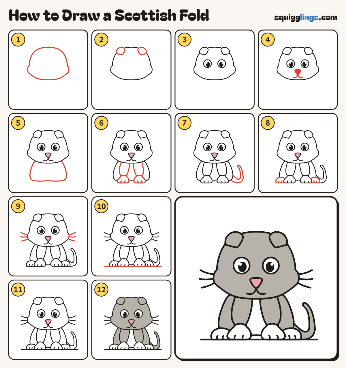 How to Draw a Scottish Fold step by step: all 12 steps in one picture