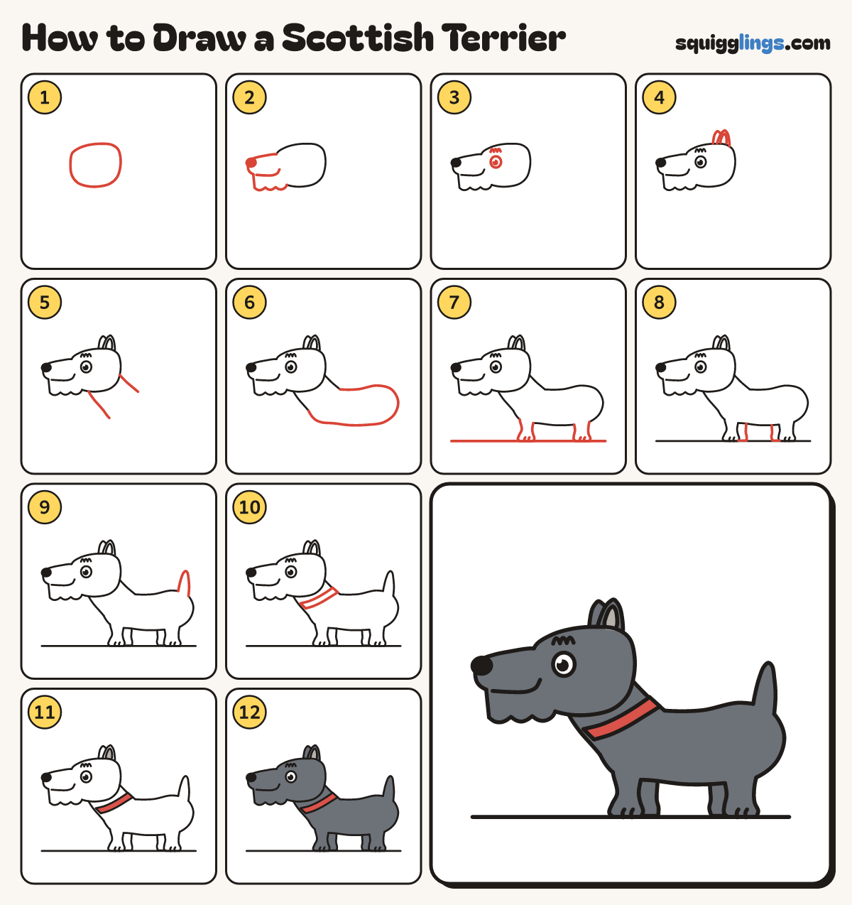 How to Draw a Scottish Terrier step by step: all 12 steps in one picture