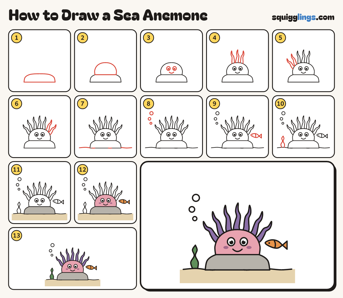 How to Draw a Sea Anemone step by step: all 13 steps in one picture