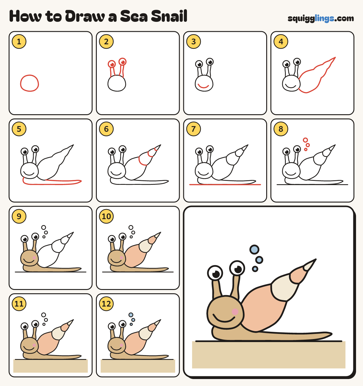 How to Draw a Sea Snail step by step: all 12 steps in one picture