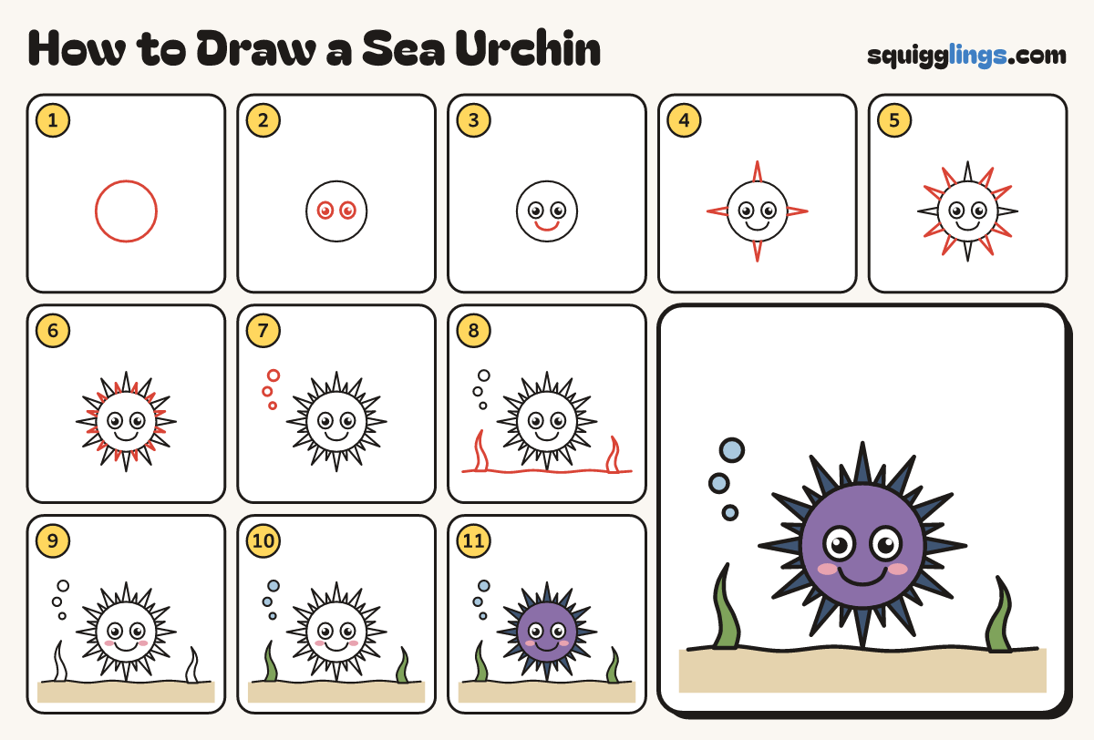 How to Draw a Sea Urchin step by step: all 11 steps in one picture