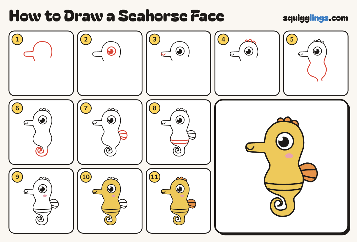 How to Draw a Seahorse Face step by step: all 11 steps in one picture