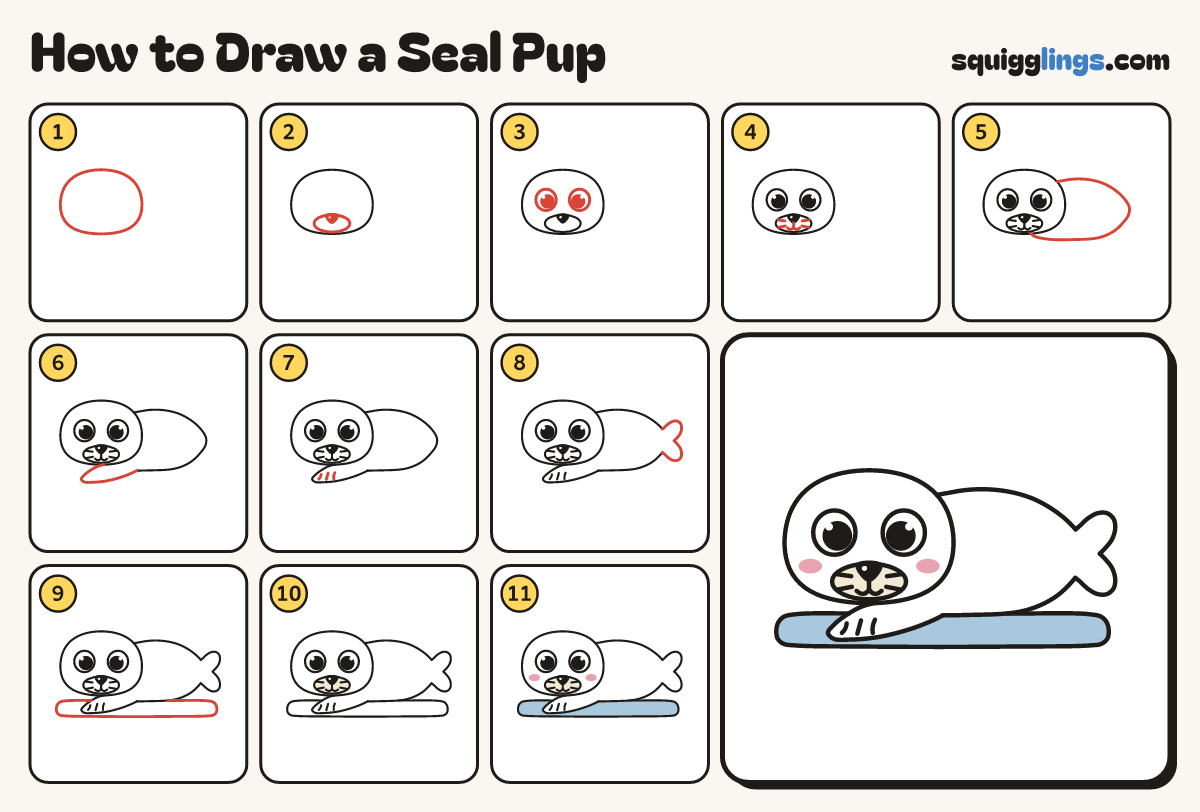How to Draw a Seal Pup step by step: all 11 steps in one picture