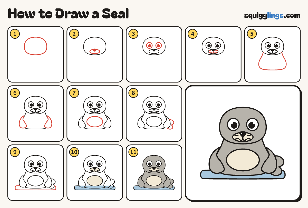 How to Draw a Seal step by step: all 11 steps in one picture