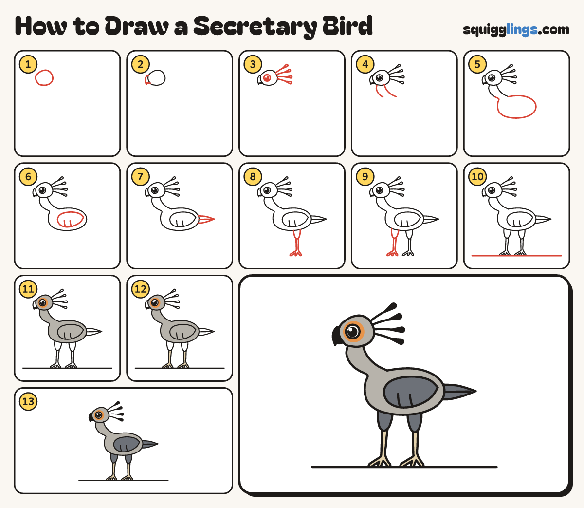 How to Draw a Secretary Bird step by step: all 13 steps in one picture